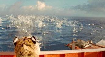 少年派漂流记在线观看,一场跨越生死的海洋之旅  第3张